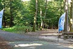 20250920_rlt_lauftag_54