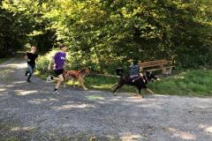 20240924_rlt_sporttag_hol_5145