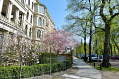 leipzig_rlt-marathon_fz-150_2017-04-08_10-236