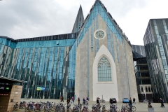 leipzig_rlt-marathon_fz-150_2017-04-08_10-45
