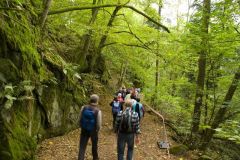 10-03-rlt-wanderung-ww-12