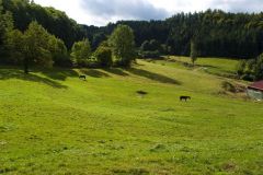 10-03-rlt-wanderung-ww-18
