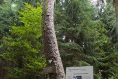 10-03-rlt-wanderung-ww-41