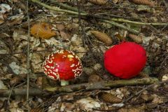 10-03-rlt-wanderung-ww-42