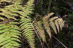 10-03-rlt-wanderung-ww-53