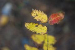 10-03-rlt-wanderung-ww-54