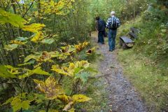 10-03-rlt-wanderung-ww-57