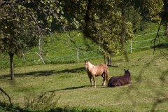 10-03-rlt-wanderung-ww-057