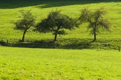 10-03-rlt-wanderung-ww-073