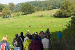 10-03-rlt-wanderung-ww-074