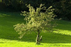 10-03-rlt-wanderung-ww-120