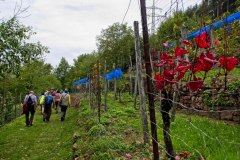 09-29-RLT-Wanderung-ww-41