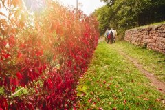 09-29-RLT-Wanderung-ww-42